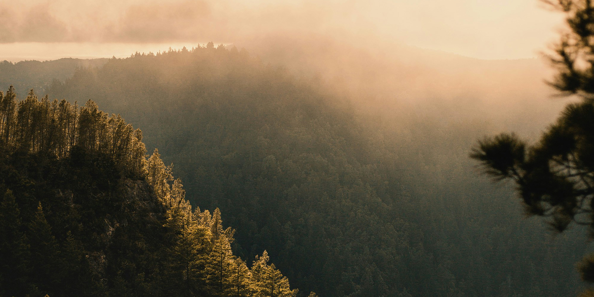 GenFi Homepage - GenFi